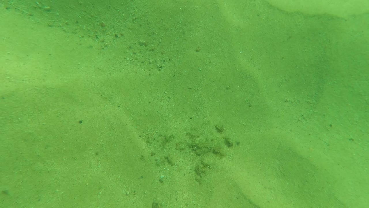 Underwater seabed in Los Barriles BCS Mexico with green water, pale sand, small rock clusters, darker patches, and no visible people.