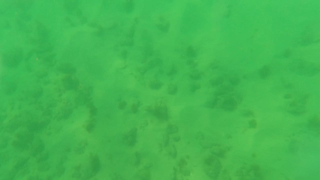 Green underwater view of sandy seabed with scattered dark patches