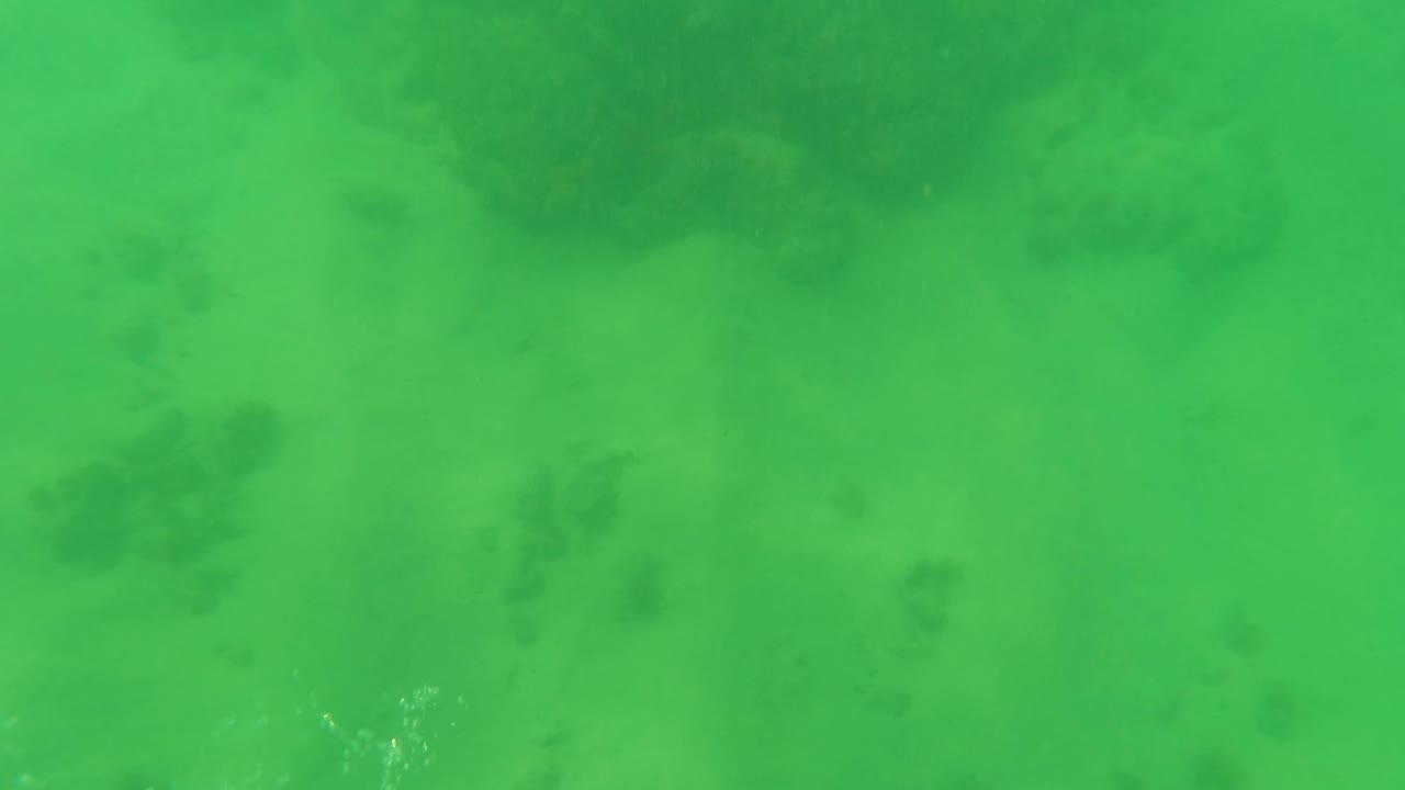 Green underwater frame from Los Barriles showing the sandy seabed, scattered vegetation marks, and a small bright disturbance in the water near the right side with no visible people.