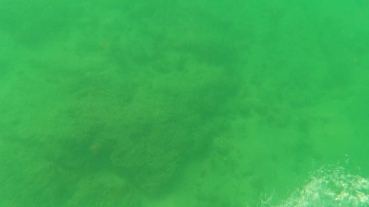 A blue swim fin enters the lower center of the Los Barriles underwater frame above a green-tinted sandy seabed with scattered dark marine vegetation.