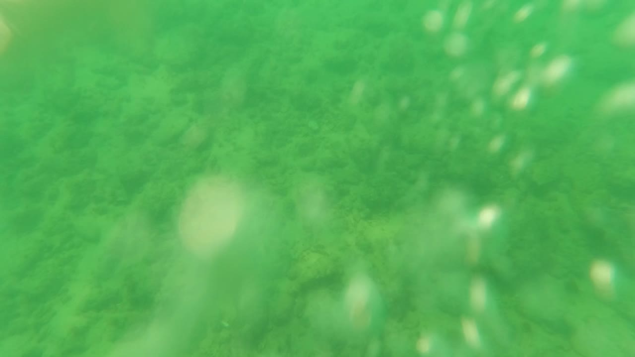 Green underwater view with soft blur and sandy seabed below.