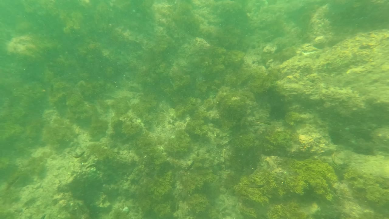 A closer section of the Los Barriles underwater seabed shows rounded rocks and algae in green-tinted water, with no visible people.