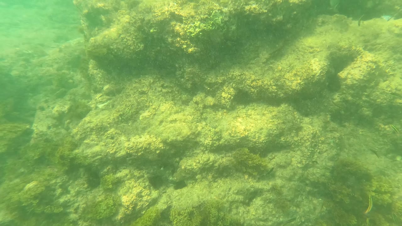 The seabed in Los Barriles appears as layered rock ledges with algae patches and soft green underwater haze, with no visible people.