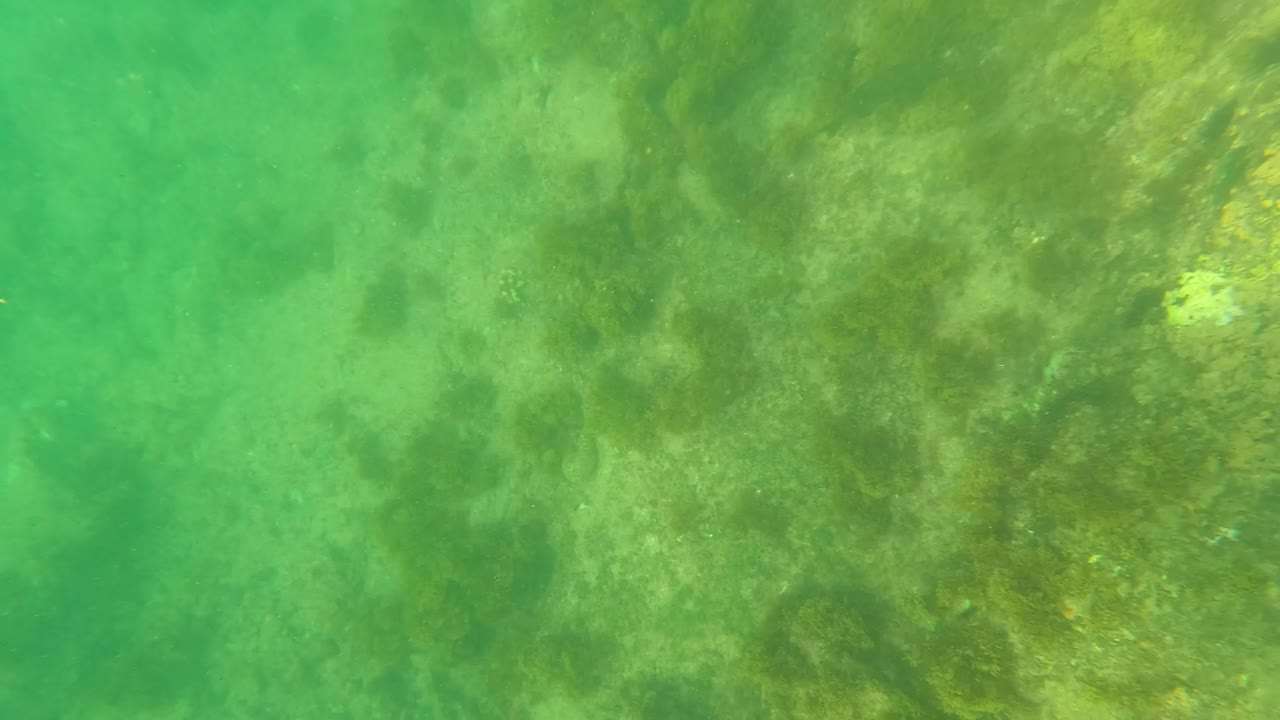 Pale sandy areas and darker algae-covered rock appear beneath green water in Los Barriles, Baja California Sur, with no visible people.