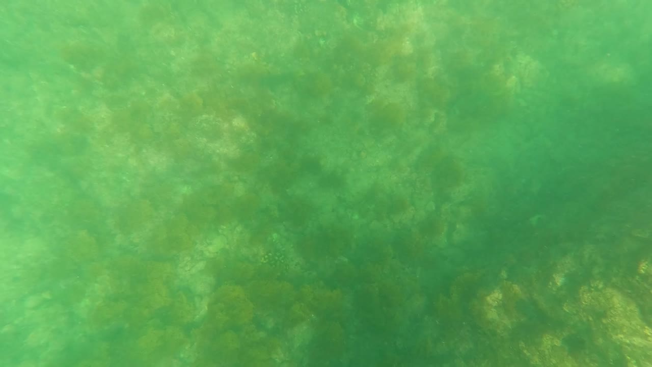 Green underwater scene with rocks and small bubbles