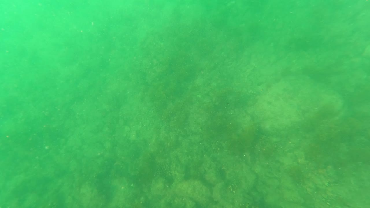 Blurred rocky seabed under murky green water