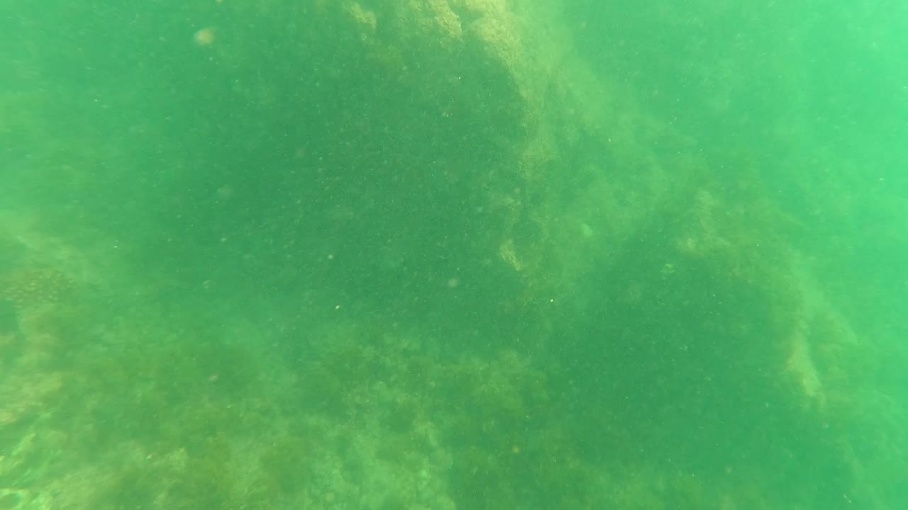 Underwater frame from Los Barriles, Baja California Sur with subdued green water, partially obscured rocks, algae, and a few small fish points, with no visible people.