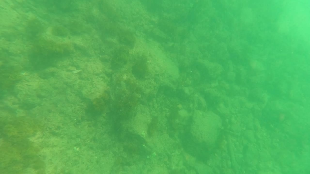 Opening underwater frame in Los Barriles, Baja California Sur, showing green water over a rocky seabed with dark algae patches and no visible people.