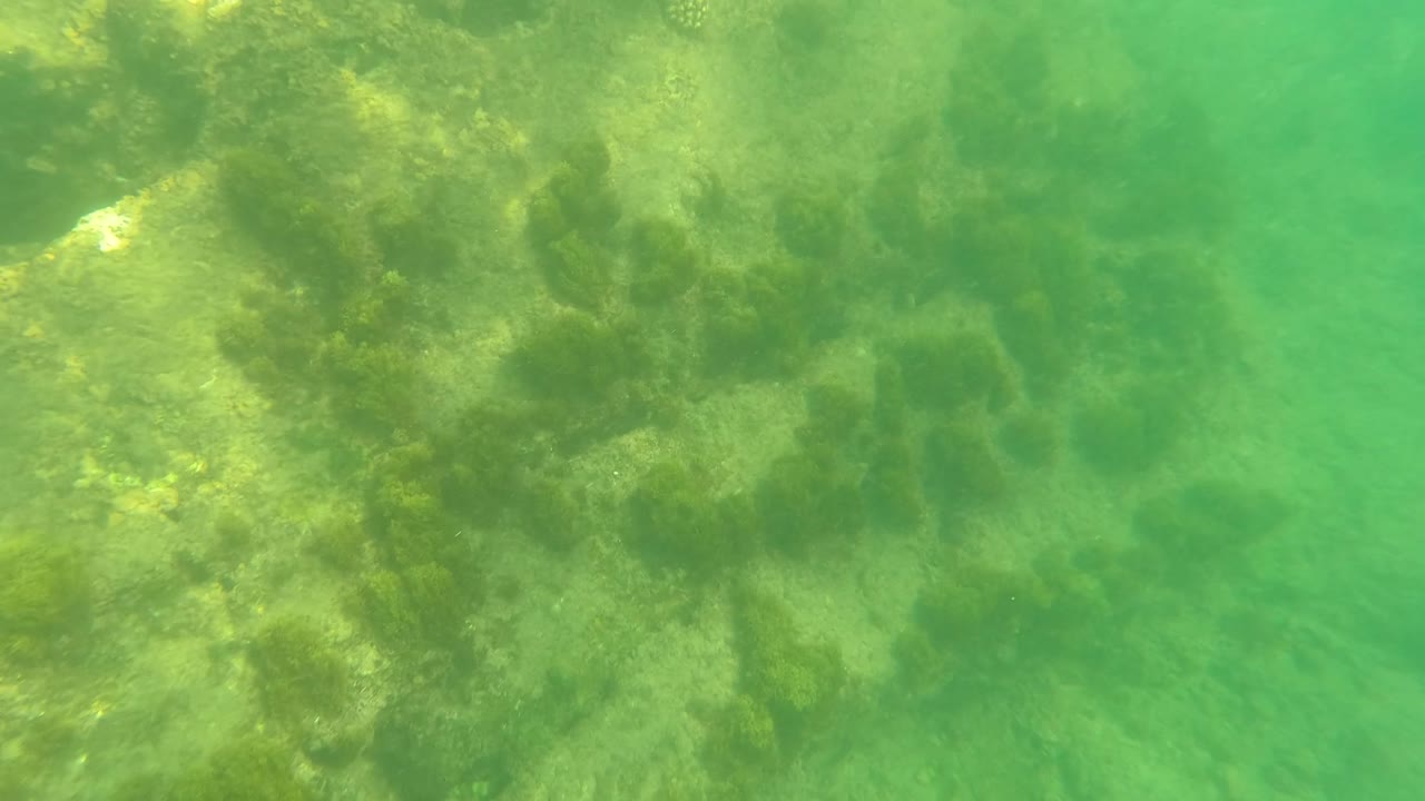 Third underwater frame in Los Barriles, Baja California Sur, showing uneven rocks, yellow-green light patches, and seaweed clusters below green-tinted water, no visible people.