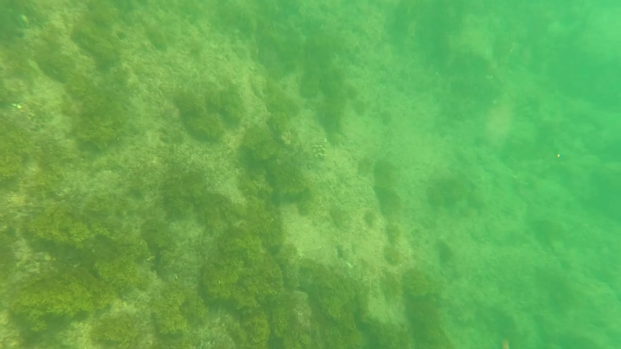 Large underwater rock beside green sandy seabed