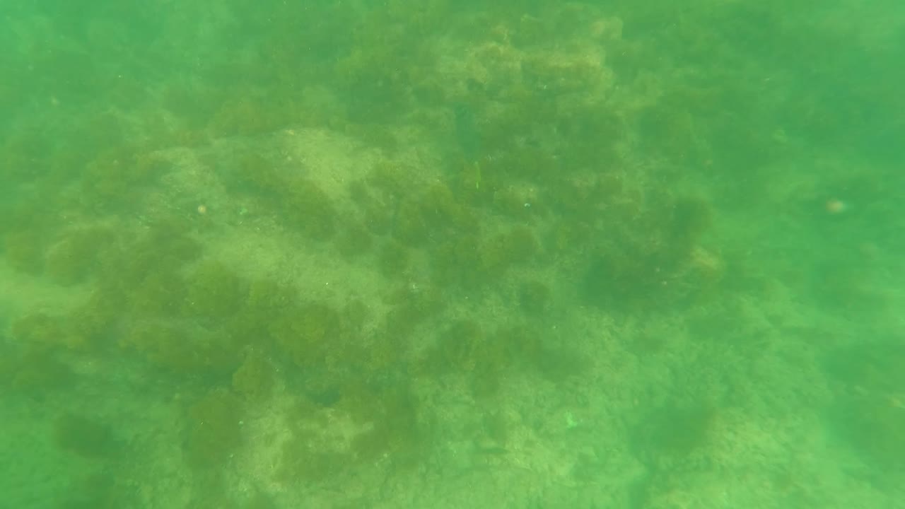 At 0:02, the Los Barriles seabed appears softer and more diffuse, with algae-coated rock shapes visible through green water and no visible people.