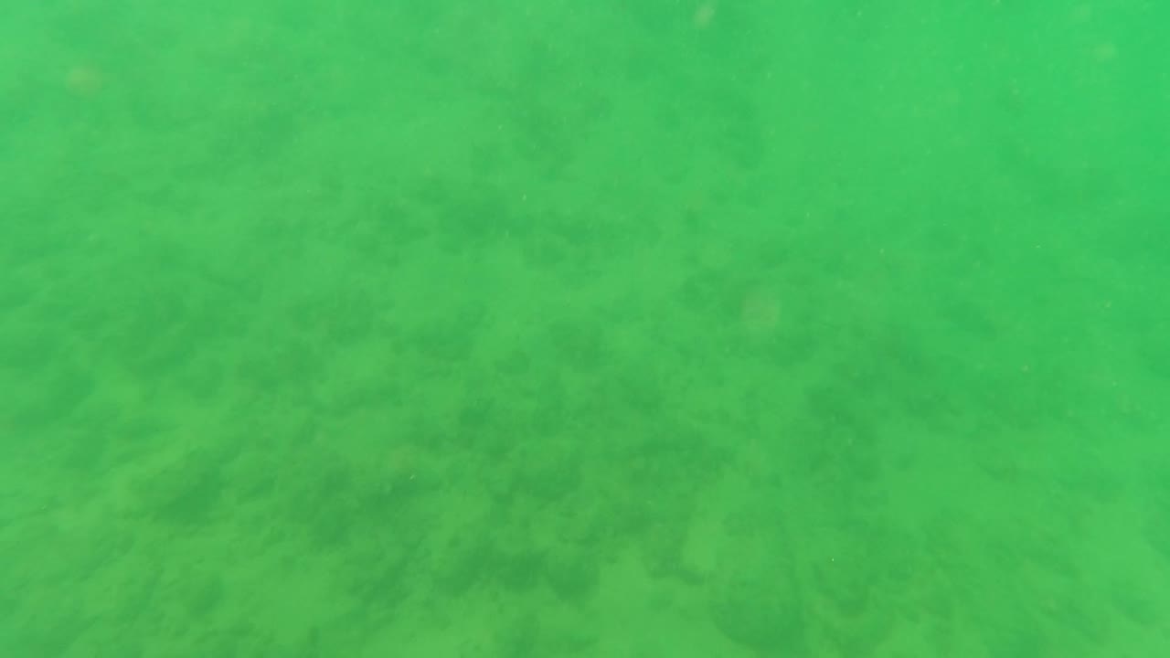 Green underwater frame over a sandy seabed in Los Barriles, Baja California Sur, with faint darker vegetation patches and no visible people.