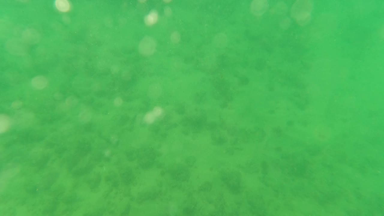 Soft green underwater view with sandy bottom and diffuse darker patches