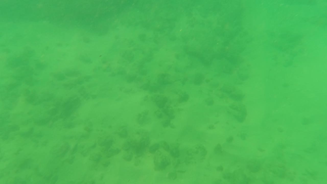 Mid-clip underwater frame in Los Barriles with green water, a faint sandy ocean floor, and darker seabed texture, with no visible people.