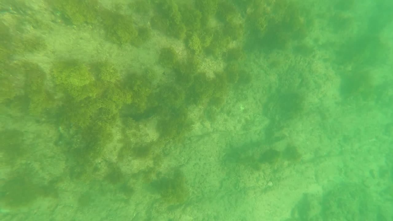 Underwater view in Los Barriles, Baja California Sur showing green water over a sandy and rocky seabed with seaweed patches and no visible people.