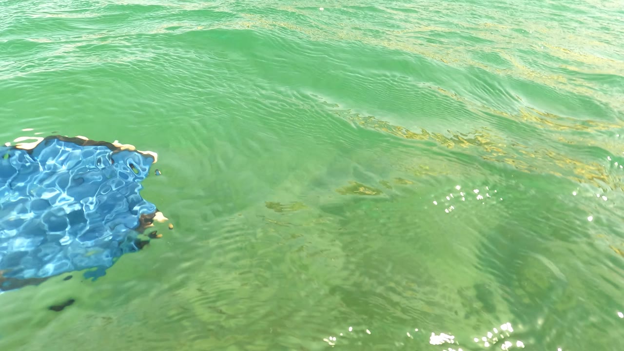 Green water surface in Los Barriles with small waves, sunlight reflections, and faint underwater color variation below, with no visible people.