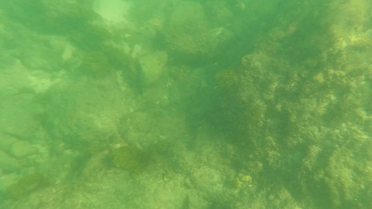At 0:01 in Los Barriles, Baja California Sur, submerged rocks and algae fill the frame beneath muted green water, with no visible people.