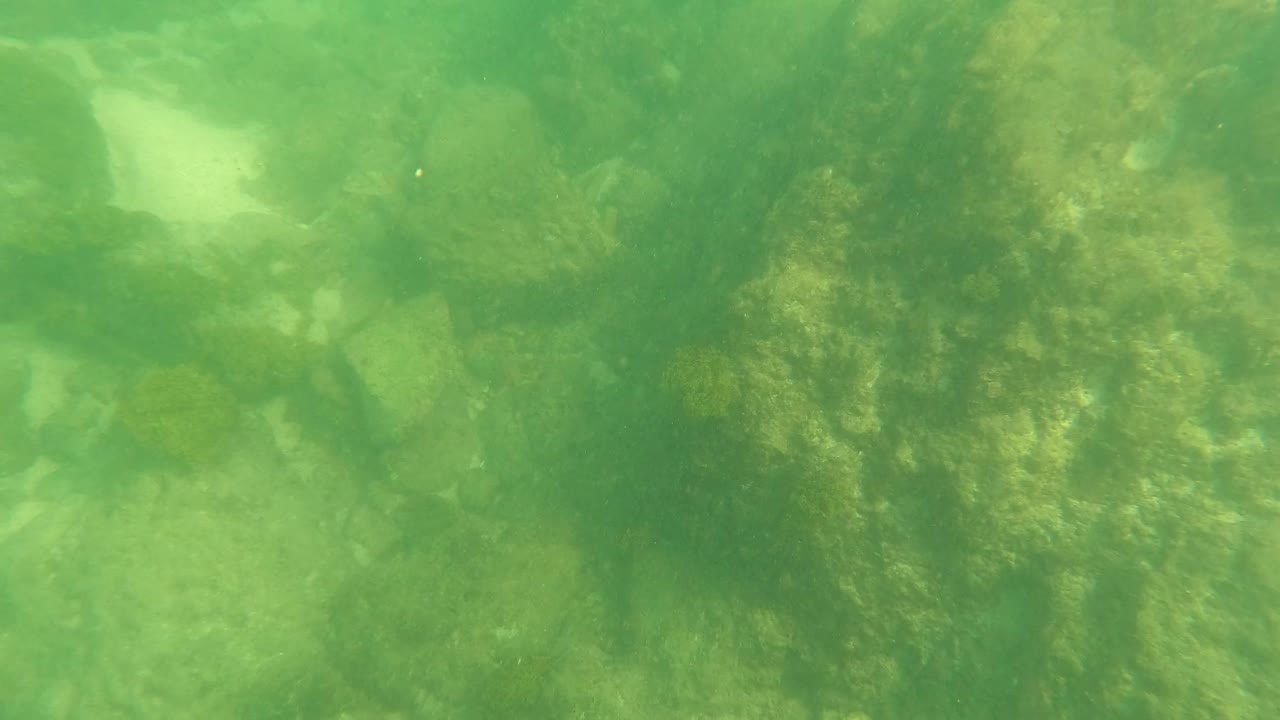 At 0:02 in Los Barriles, Baja California Sur, the seabed shows darker algae-coated rock beside brighter sandy openings through green water, with no visible people.