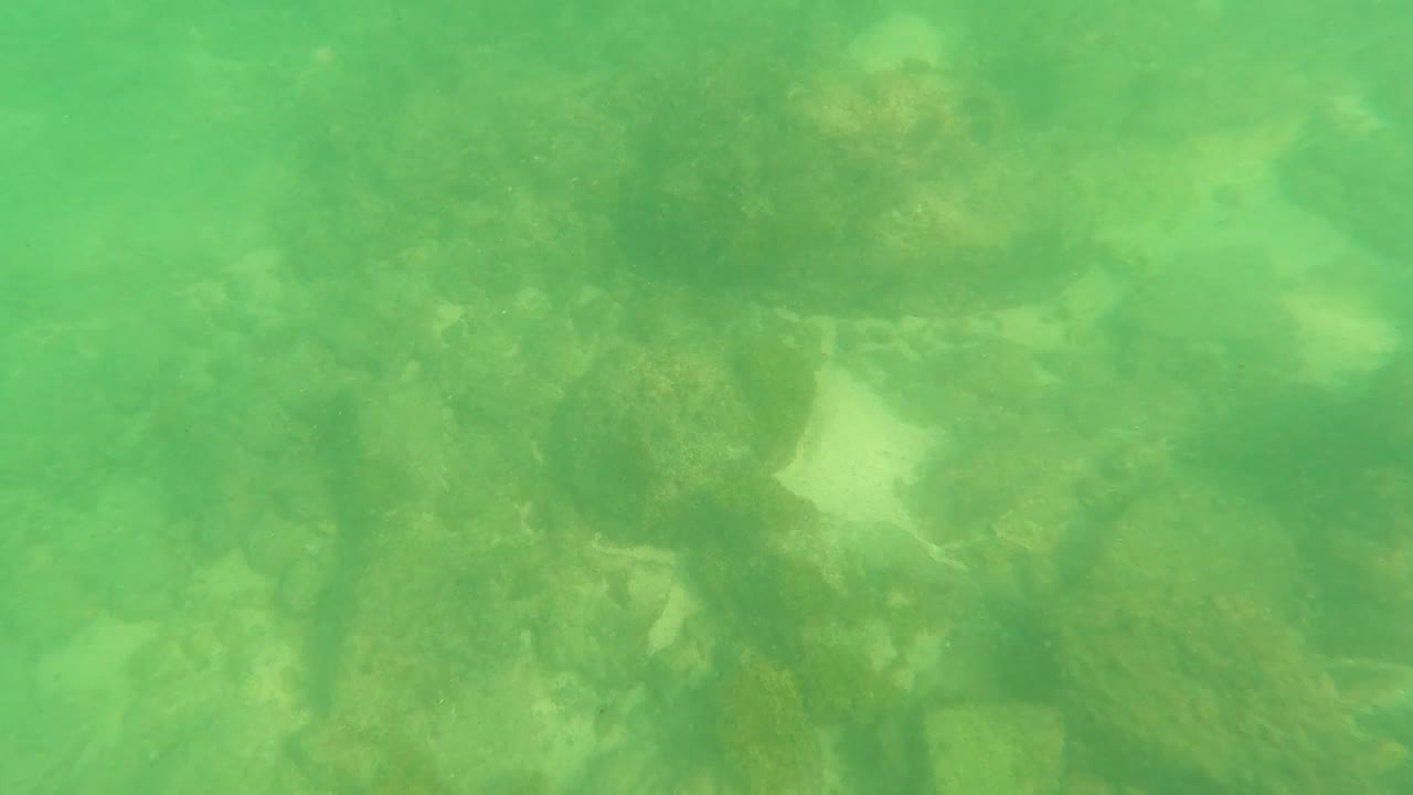 At 0:03 in Los Barriles, Baja California Sur, a slightly lower section of seabed shows green water over rocks, algae, and irregular sandy gaps, with no visible people.
