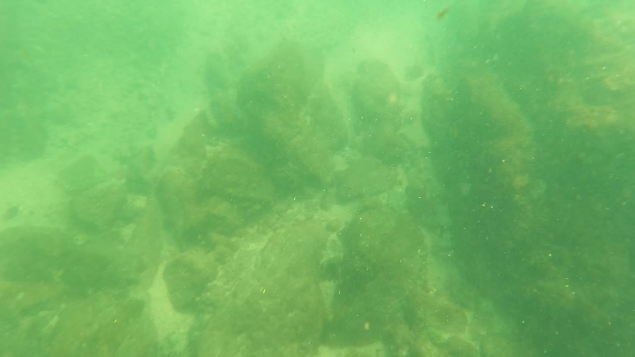 Green underwater frame from Los Barriles, Baja California Sur showing dark algae-covered rocks or submerged structure across a sandy seabed with no visible people.