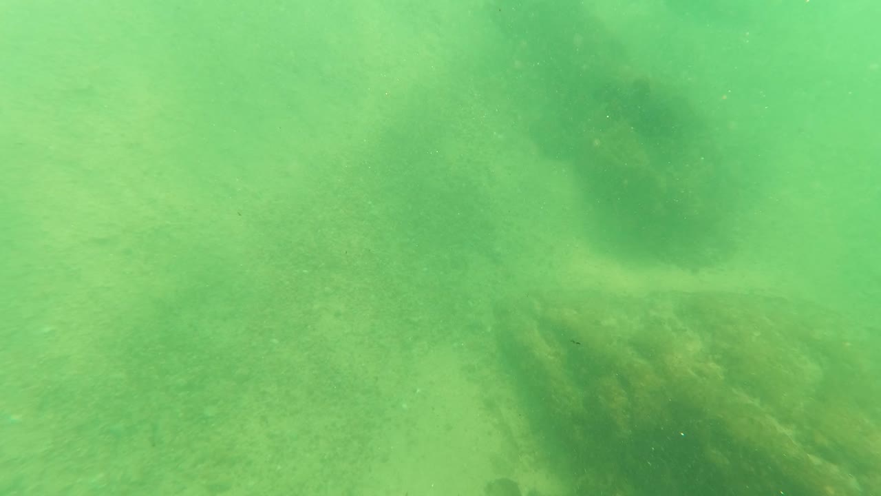 Los Barriles underwater frame with a sandy bottom, a dark algae-covered structure crossing the lower portion, and green water limiting background detail with no visible people.