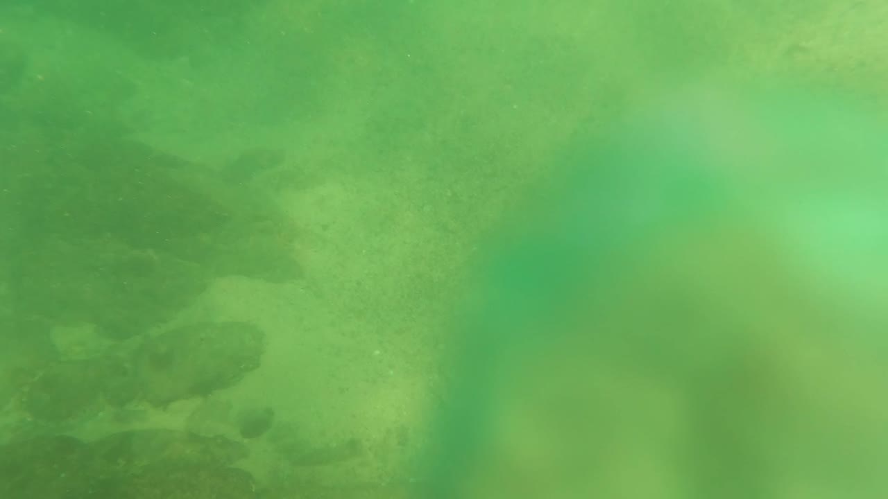A lower, murkier view shows the rusted marine-covered structure near the left side and pale sand stretching through green water near Los Barriles.