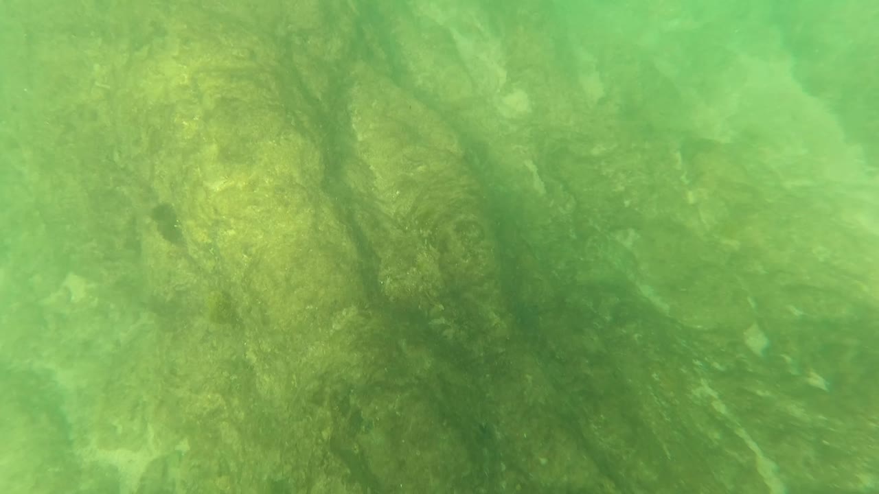 Green underwater view in Los Barriles, Baja California Sur, with rocky riverbed texture visible through cloudy water and no visible people.
