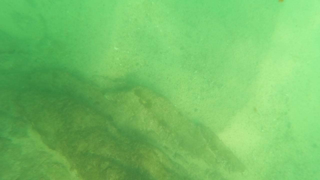Rocky bottom remains visible through pale green underwater haze in Los Barriles, Baja California Sur, with no visible people.