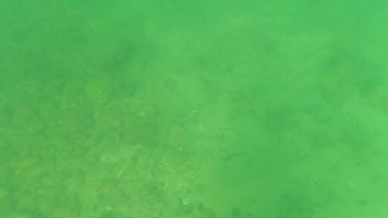 Opening underwater frame from Los Barriles, Baja California Sur, showing a green-tinted rocky bed with pebbles and no visible people.