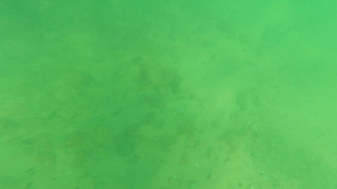Underwater frame from Los Barriles with rounded stones and pebble shapes visible through green water, with no visible people.