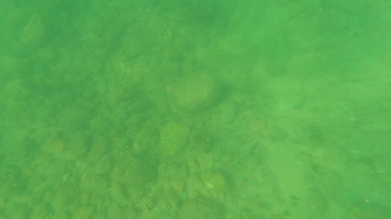 Mid-clip underwater view in Los Barriles showing the rocky bed softened by green-tinted water and light haze, with no visible people.