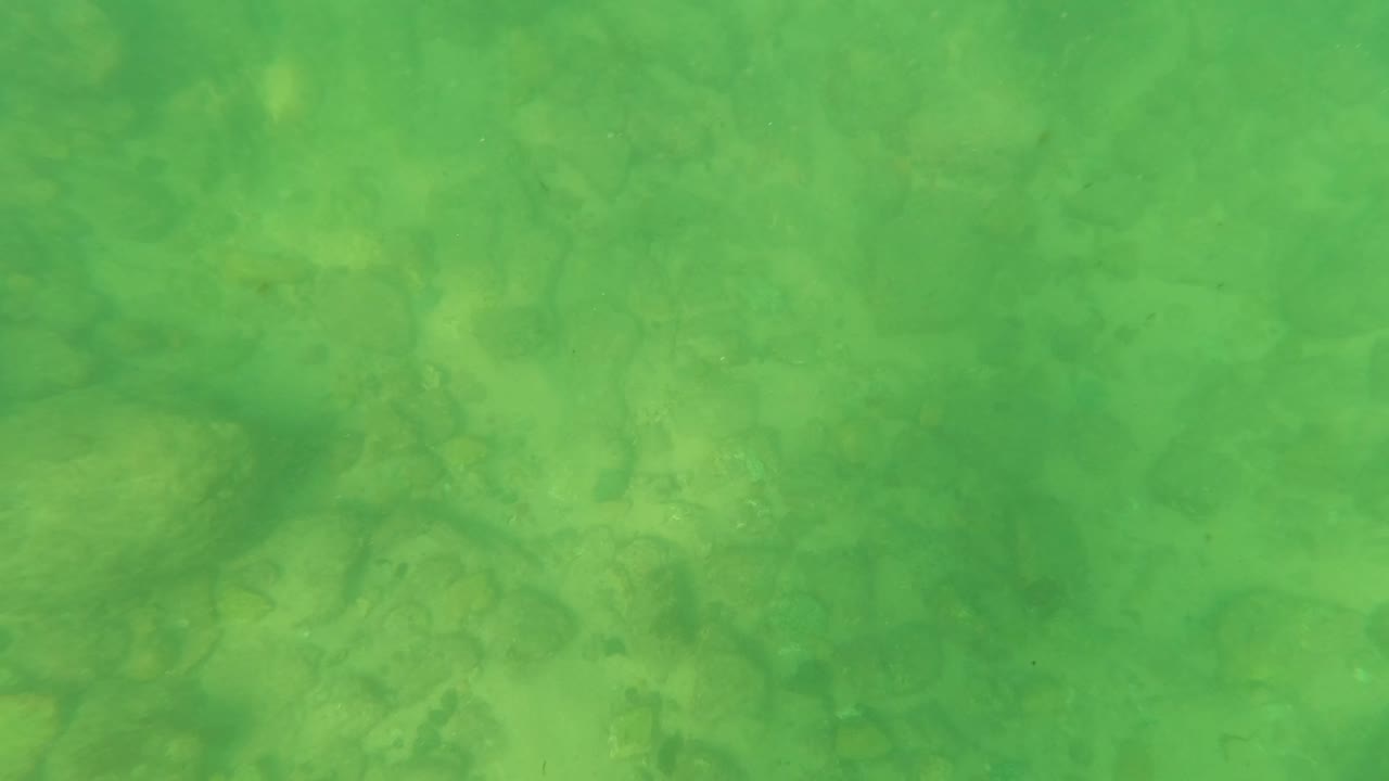Pebbles and rocks beneath clear green water