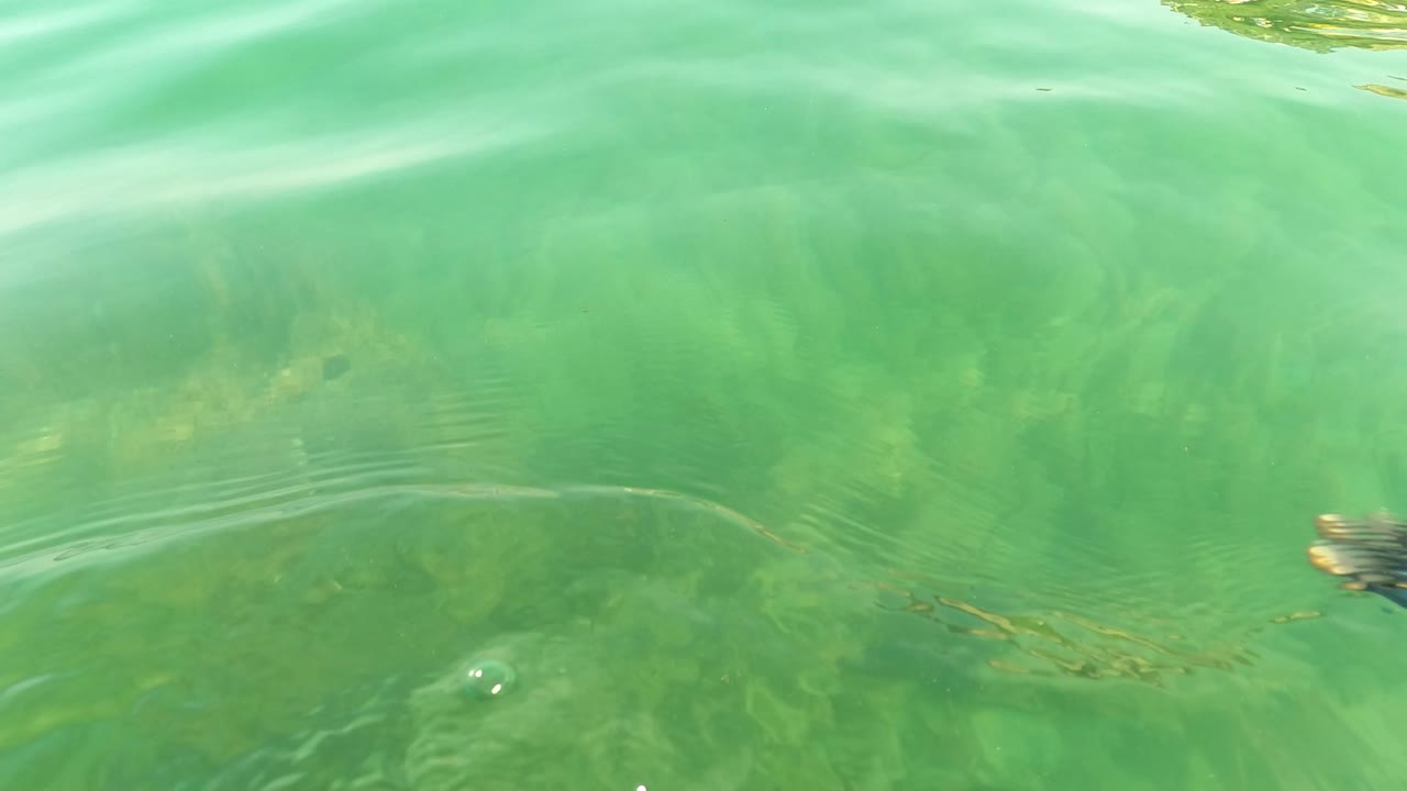 Clear green water surface in Los Barriles, Baja California Sur, with soft ripples and faint underwater shapes below, no visible people.