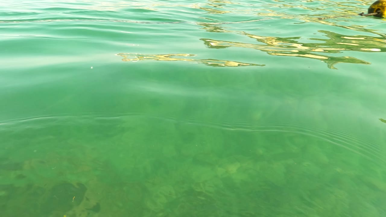 Green water in Los Barriles with a rippled surface line and a faint view of the shallow bottom beneath, no visible people.