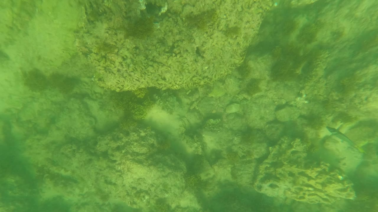 Underwater rocky bed in green-tinted water