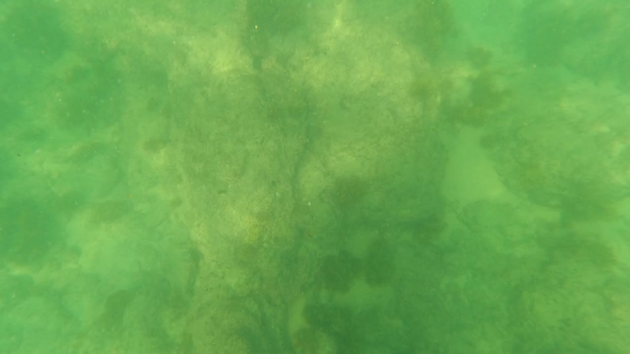 Second underwater frame from Los Barriles showing muted green water, uneven submerged rocks, algae patches, and no visible people.