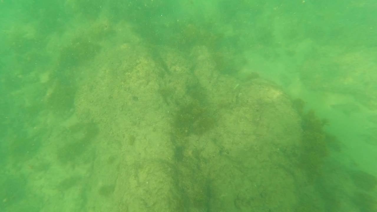 Third frame in Los Barriles, Baja California Sur, Mexico, with a broad green underwater view of rock shapes, algae, seaweed, and no visible people.