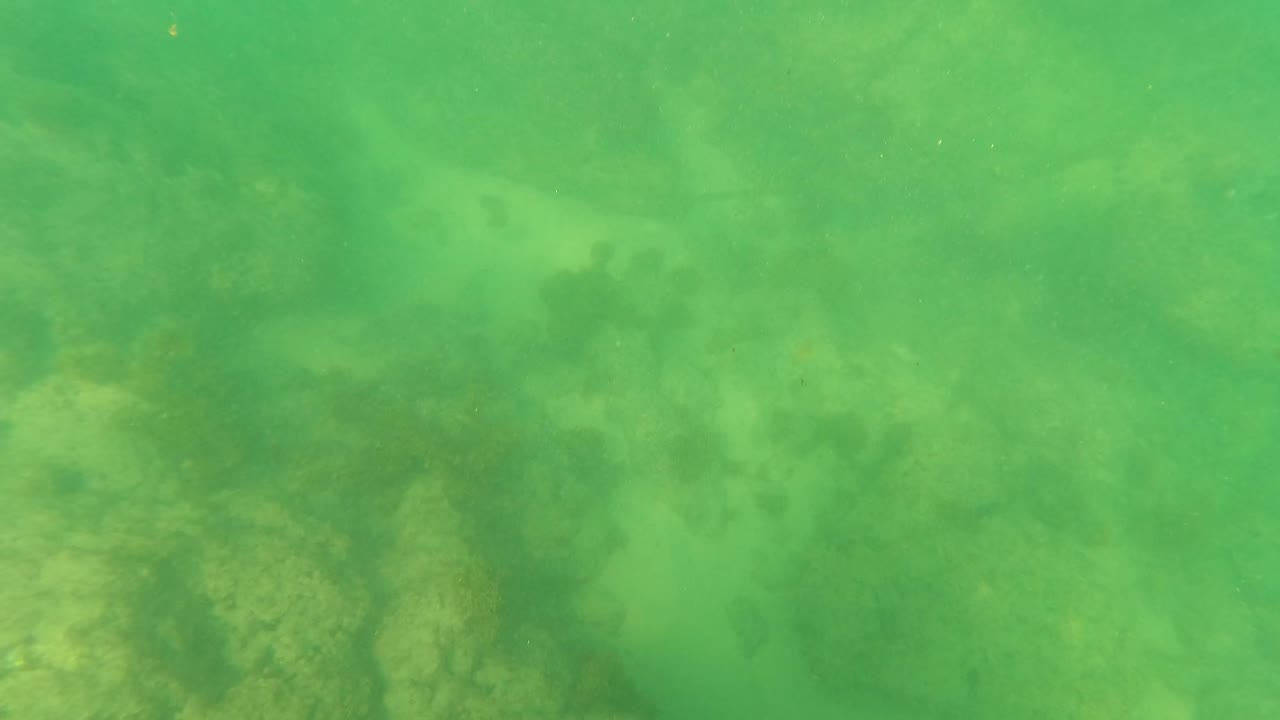 Fourth underwater frame from Los Barriles showing the rocky ocean floor through green-tinted water with algae cover and no visible people.