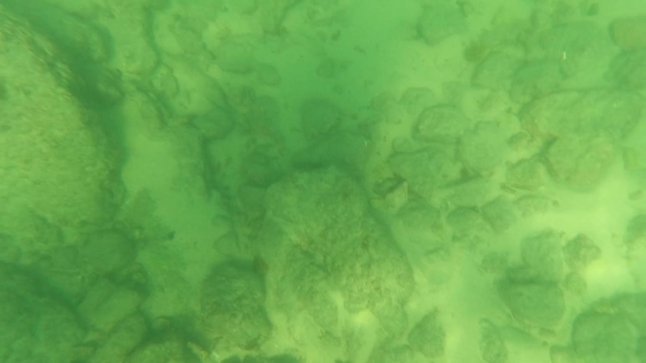Green-tinged underwater view of a rocky seabed and pale sand patches in Los Barriles, Baja California Sur, with no visible people.