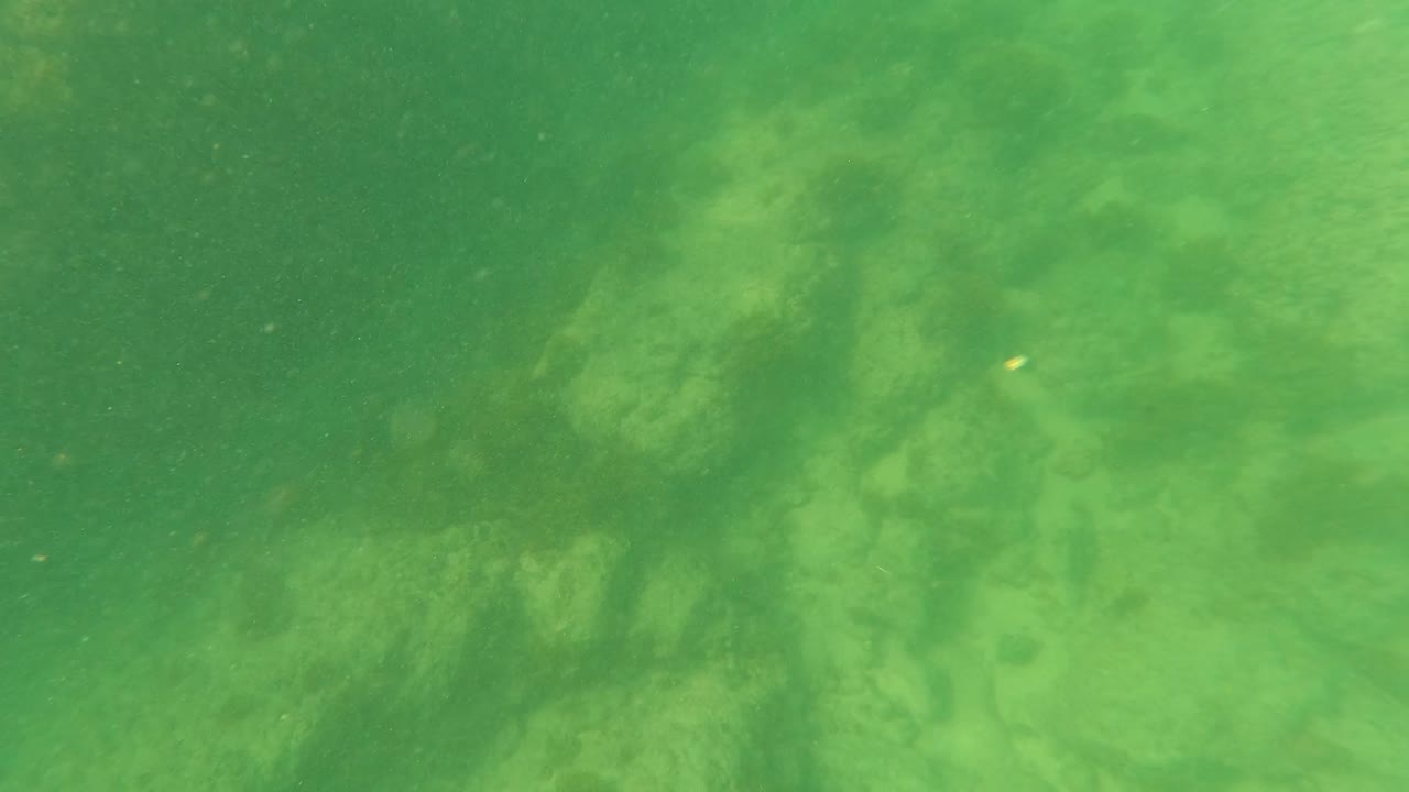 A darker section of the Los Barriles rocky ocean floor appears through green water, with soft underwater haze and no visible people.