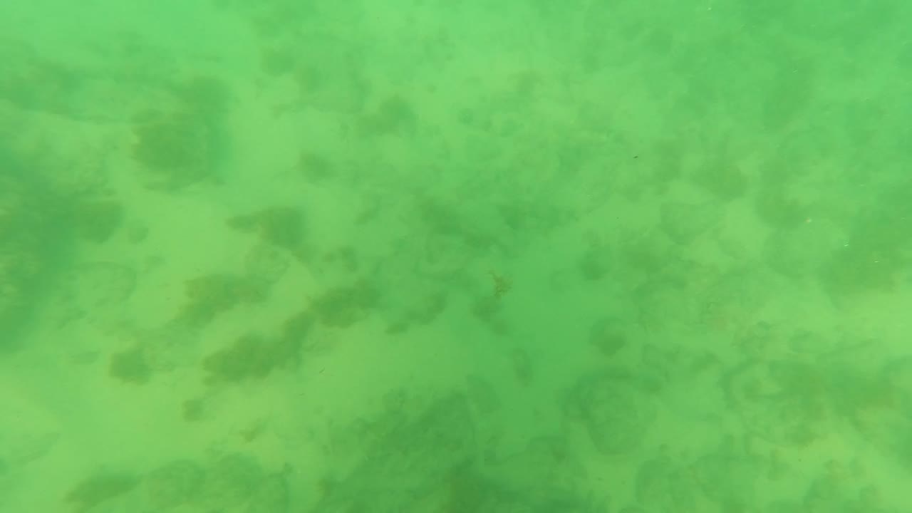 A pale sandy patch crosses the rocky underwater seabed in Los Barriles, with small dark rock shapes and no visible people.