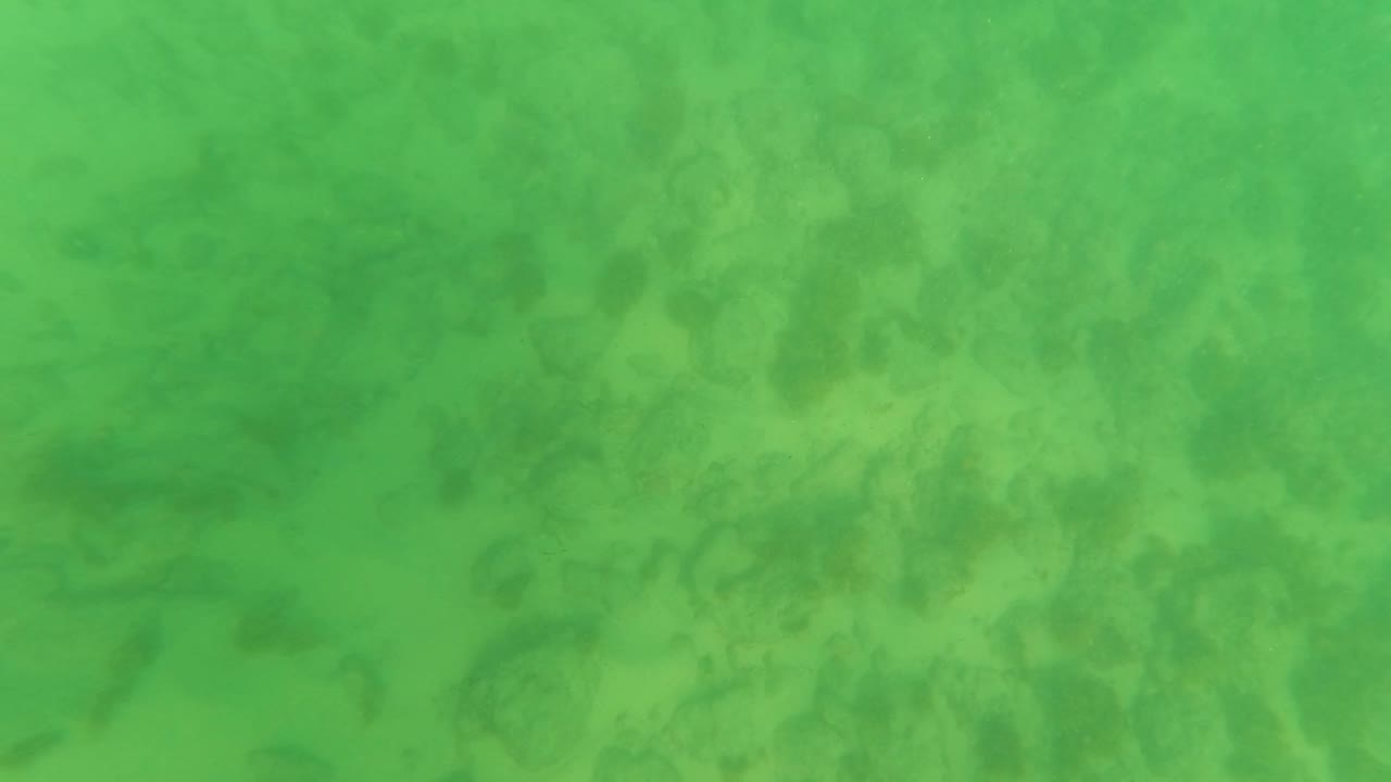 Soft green underwater seabed with rocks and haze.