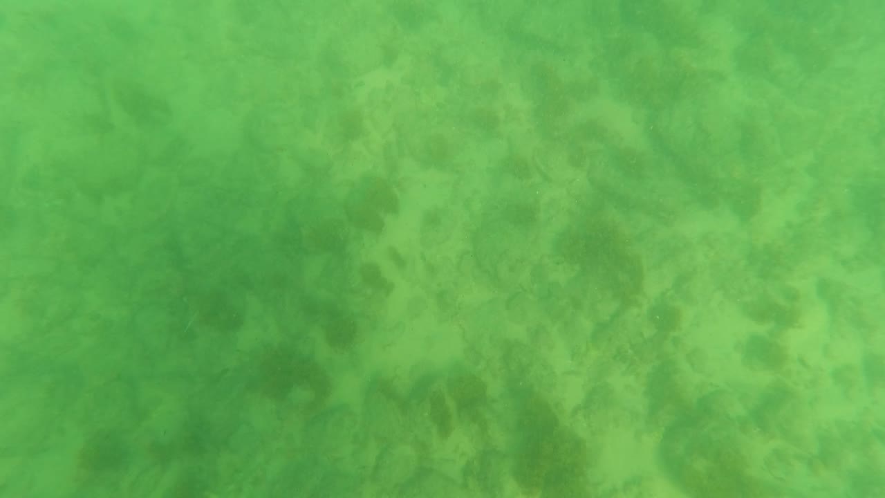 Mid-clip underwater view in Los Barriles with a hazy green water column above a lightly textured sandy seabed and no visible people.