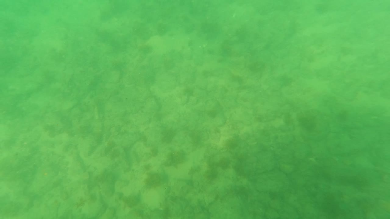 Opening frame of green-tinted shallow water over a sandy seabed in Los Barriles, Baja California Sur, with mottled darker areas and no visible people.