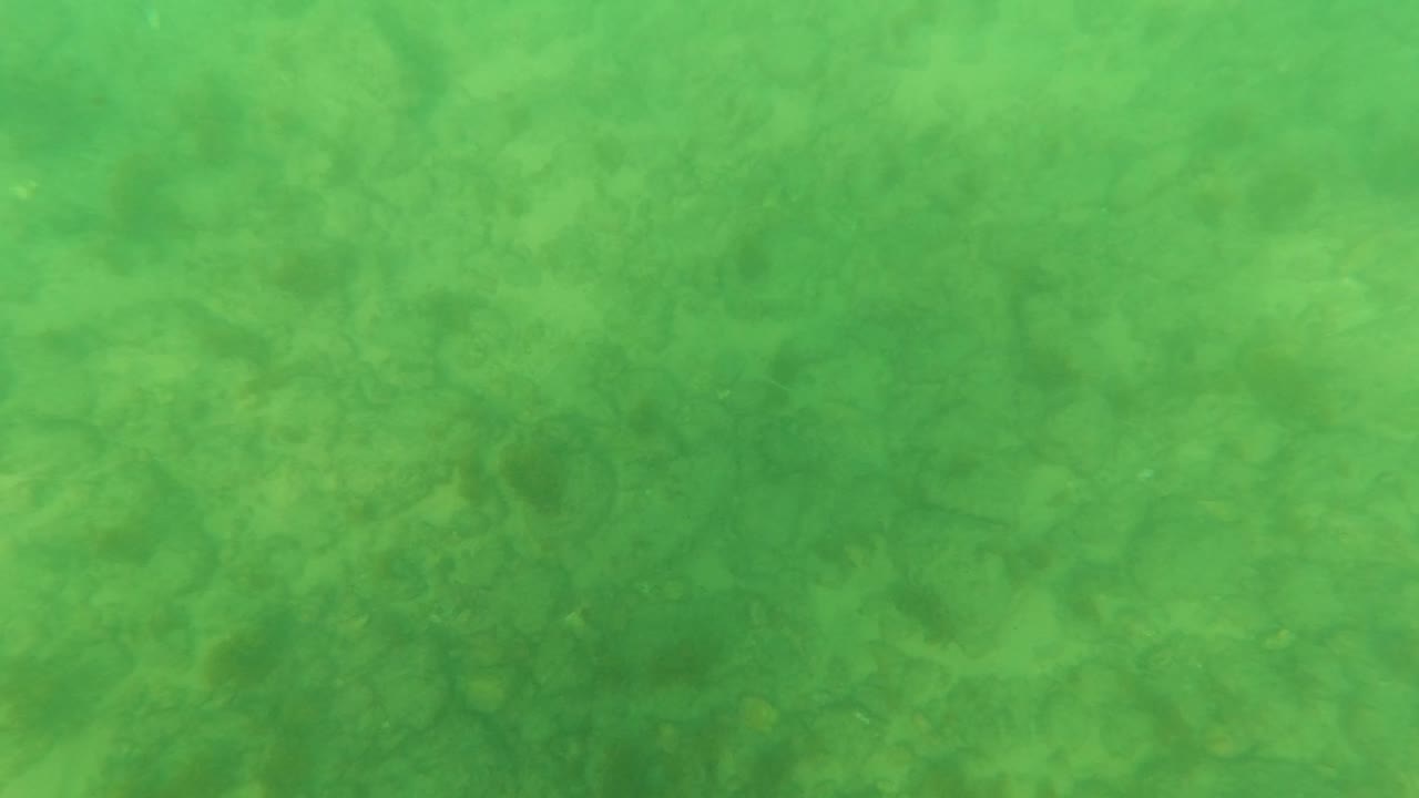 Second frame showing the Los Barriles underwater seabed through green water, with soft sandy texture and no visible people.