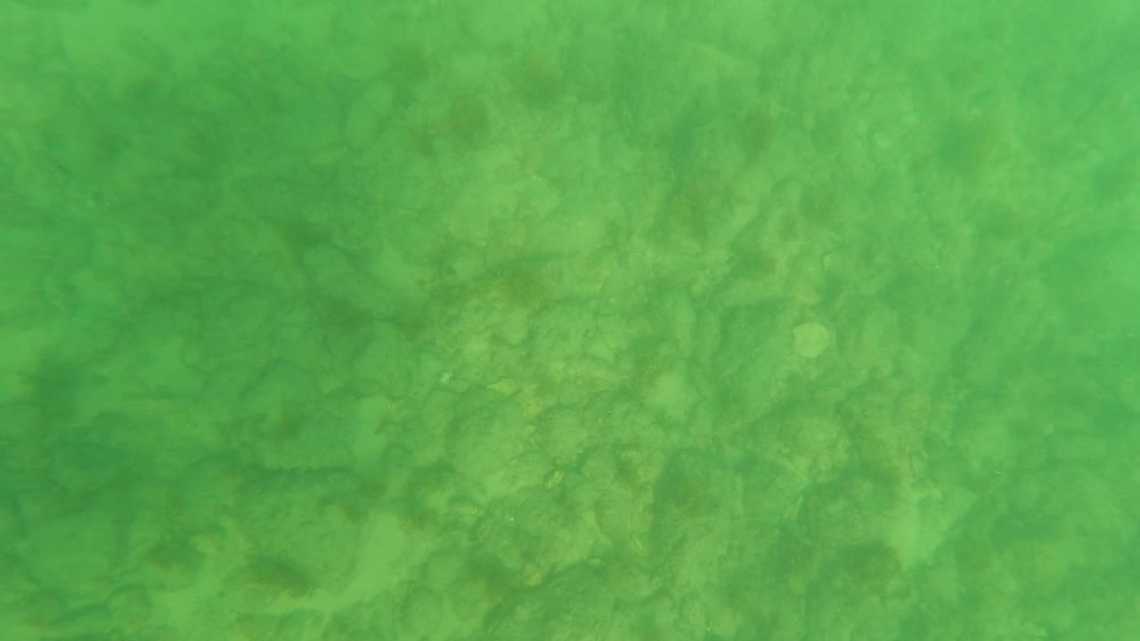 Mid-clip frame of a murky green underwater view in Los Barriles, with a sandy bottom, darker organic patches, and no visible people.