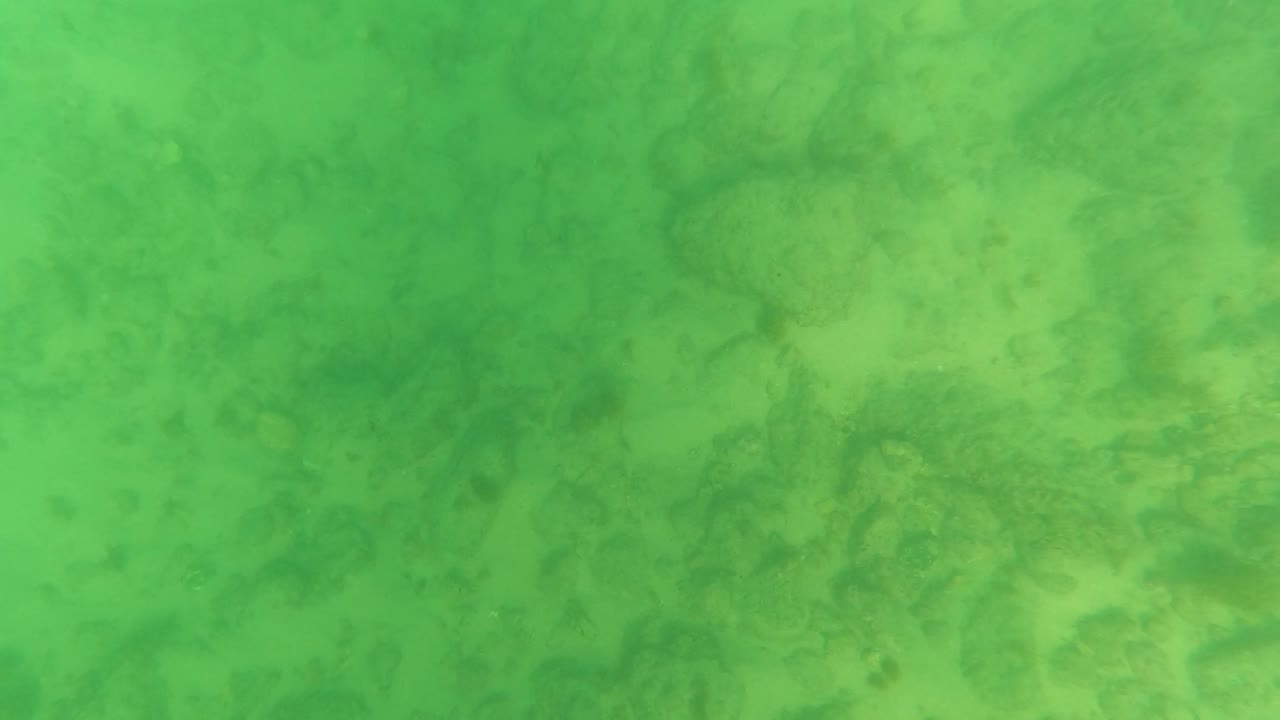 Early frame of green-tinted water over a rocky coral seabed in Los Barriles, Baja California Sur, with no visible people.