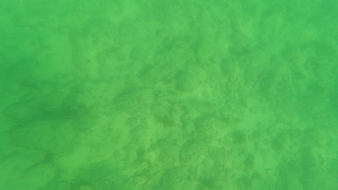 Ocean floor seen through green water with scattered rocks.