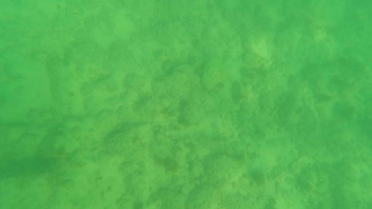 Mid-clip frame shows a soft green underwater view of the Los Barriles seabed, with faint coral and rock patterning and no visible people.