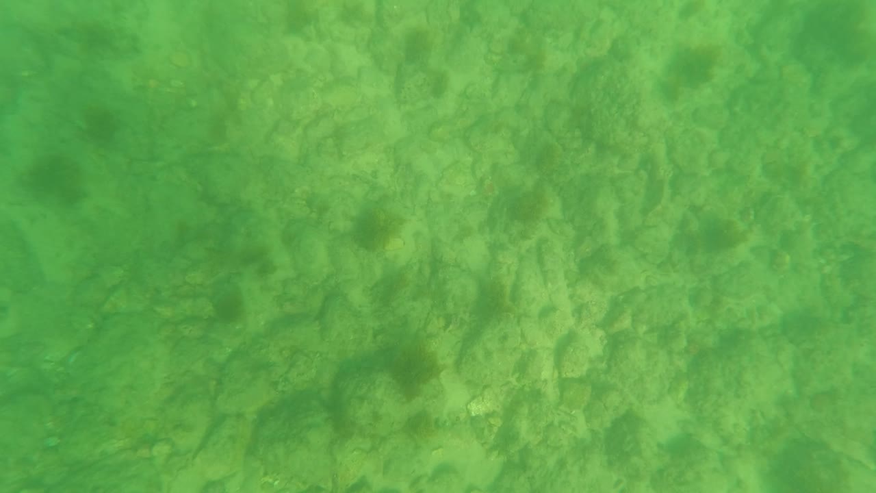 Green-tinted underwater view of rocks on a shallow seabed.